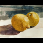 LIMONES CITRONS