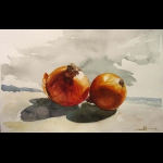 BOCETO CON CEBOLLAS ETUDE POUR OIGNONS