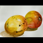 MANGOS MANGUES